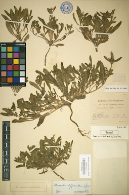LE 01036959