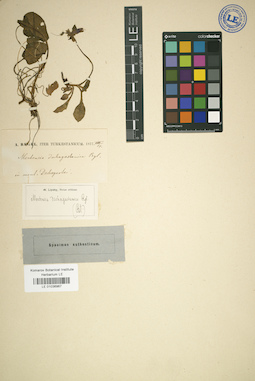 LE 01036967