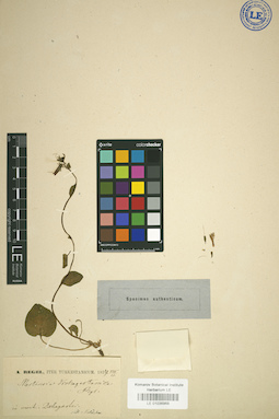 LE 01036968