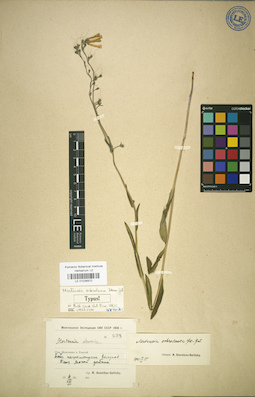 LE 01036970