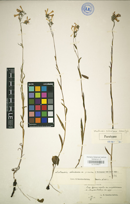 LE 01036971