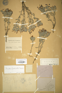 LE 01036977