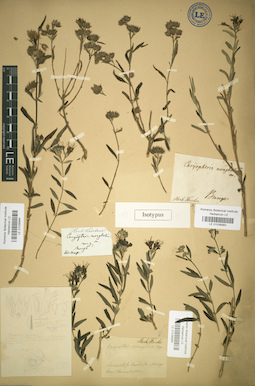 LE 01036994