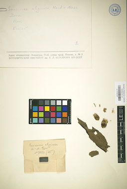 LE 01037007