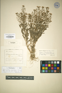 LE 01037025