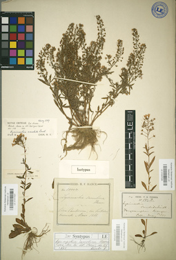 LE 01037027