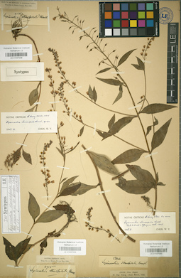 LE 01037029