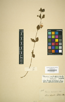 LE 01041260