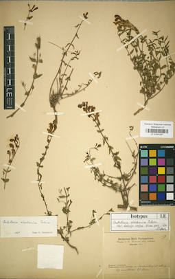 LE 01041267