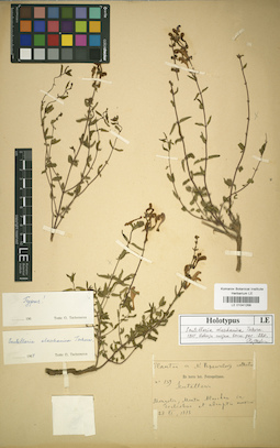 LE 01041268