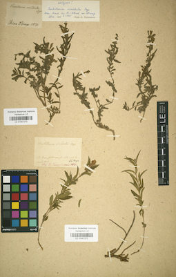 LE 01041273