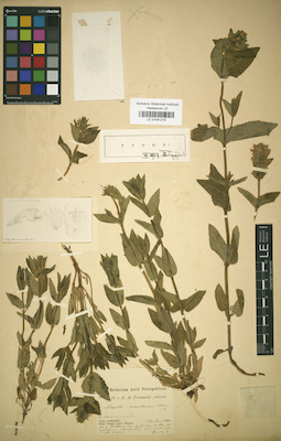 LE 01041274