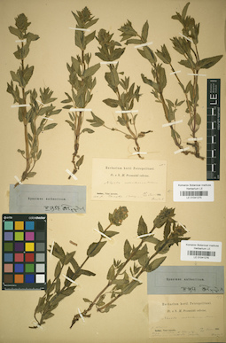LE 01041276