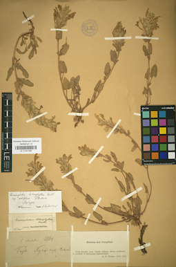 LE 01041285