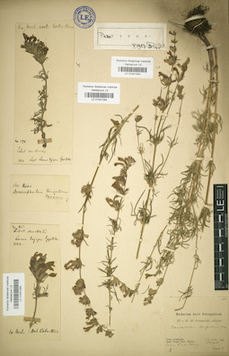 LE 01041294