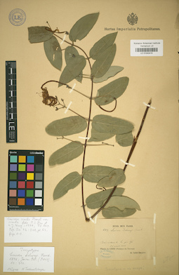 LE 01042415