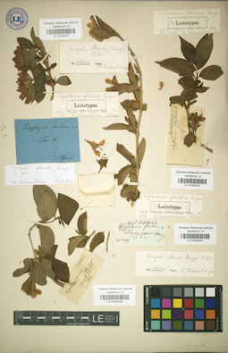 LE 01042423