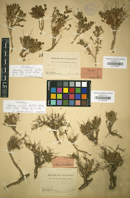 LE 01042436