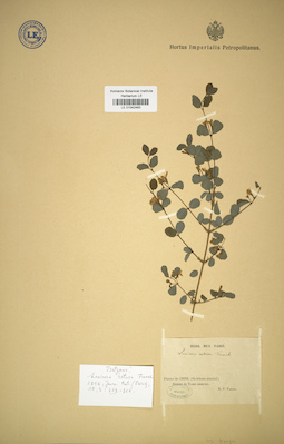LE 01042463