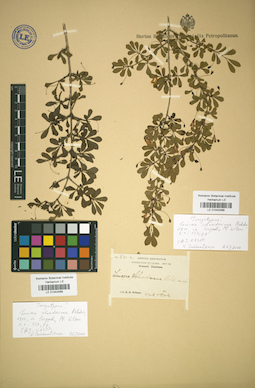 LE 01042468