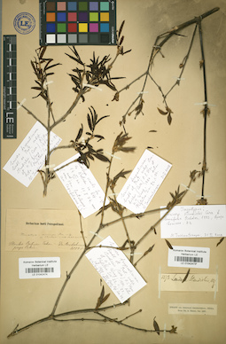LE 01042473