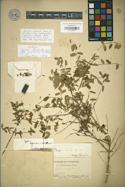 LE 01042477