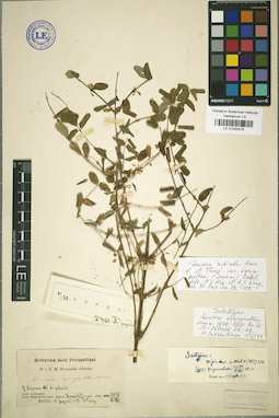 LE 01042478
