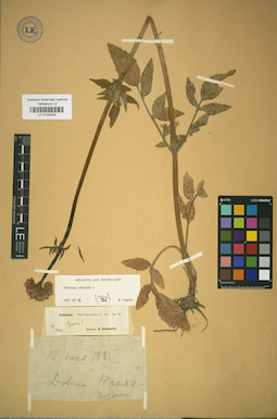LE 01042504