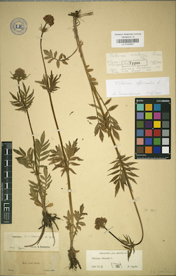 LE 01042507