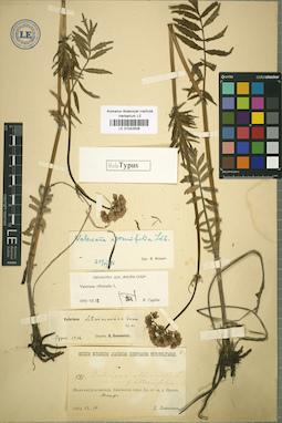 LE 01042508