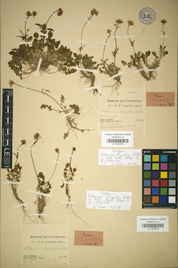 LE 01042518