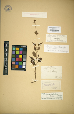 LE 01042523