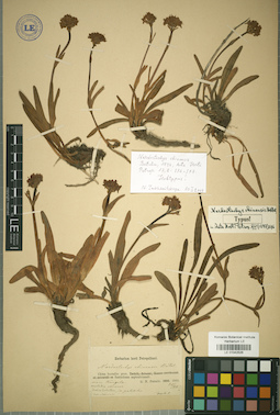 LE 01042526