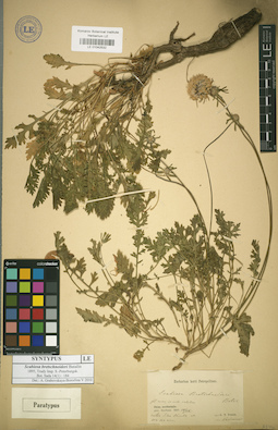 LE 01042532