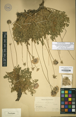 LE 01042533