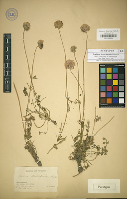 LE 01042534