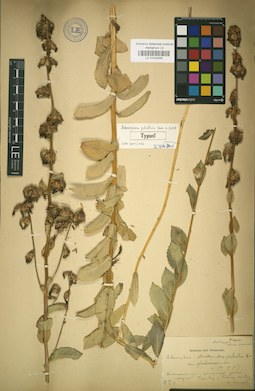 LE 01042545