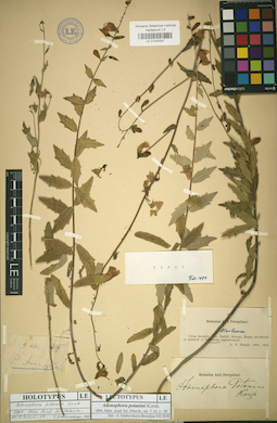 LE 01042547