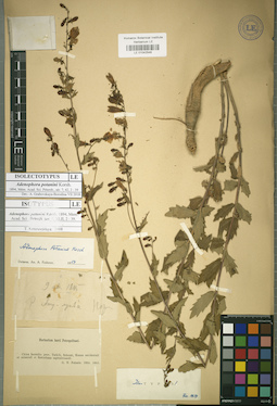 LE 01042548