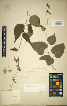 LE 01042549