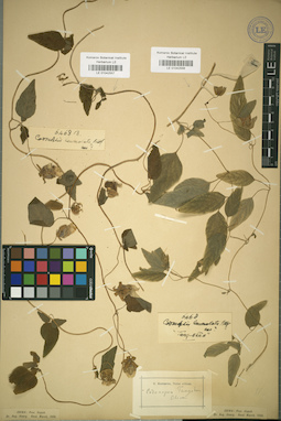 LE 01042557