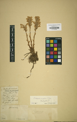 LE 01042560