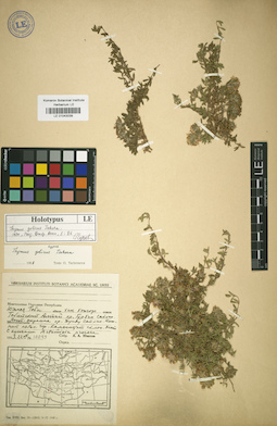 LE 01043039