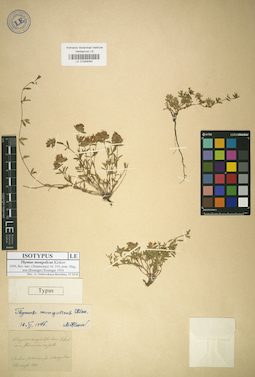 LE 01043040