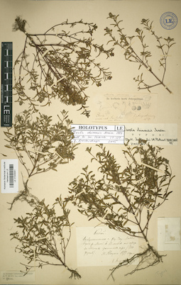 LE 01043041
