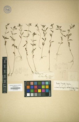 LE 01043042