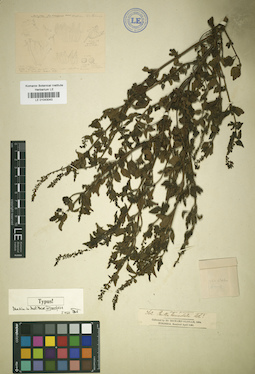 LE 01043043