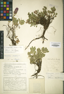 LE 01043046