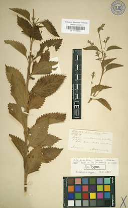 LE 01043053