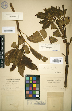 LE 01043058
